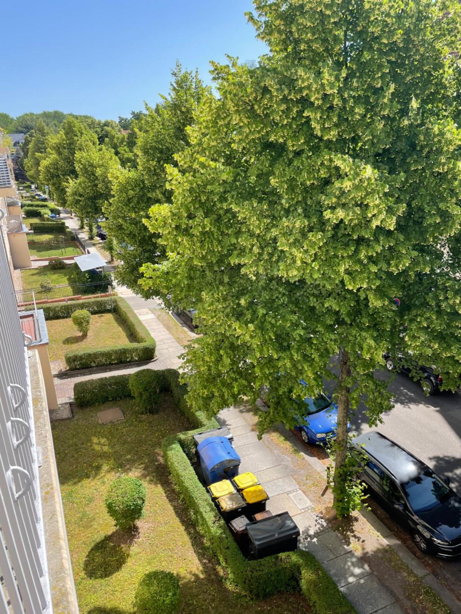Ruhige Maisonettewohnung Auf Dem Kassberg Chemnitz Exterior foto